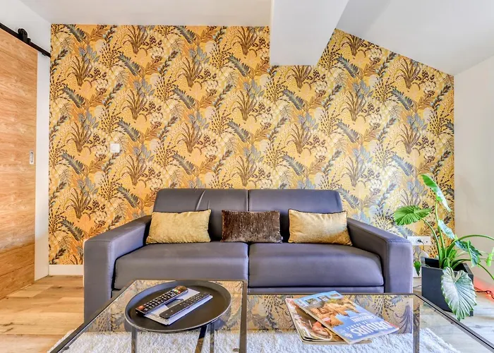 Le 11 Jacuzzi Avec Terrasses Clim Netflix Parking * Carcassonne